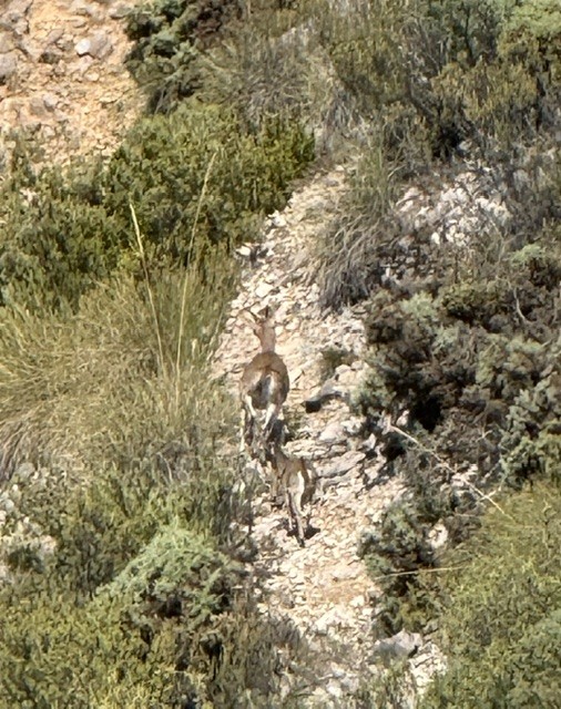 Hiking in the Sierra Almijara